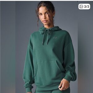 ALO Winter Ivy Hoodie size L